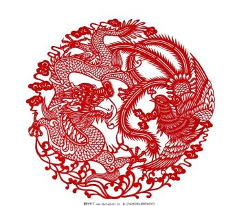视频代码